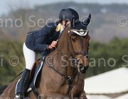 De Filippo Windrose TosTour 2013- S5 7521 : Arezzo Equestrian Centre, De Filippo Luisa, Toscana Tour 2013, Windrose, foto di Stefano Secchi ©